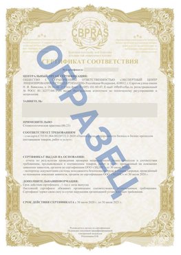 Образец Сертификат СТО 01.064.00220722.2-2020 Красный Сулин Сертификат СТО 01.064.00220722.2-2020 